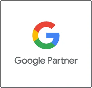 Google Partner Translinguo
